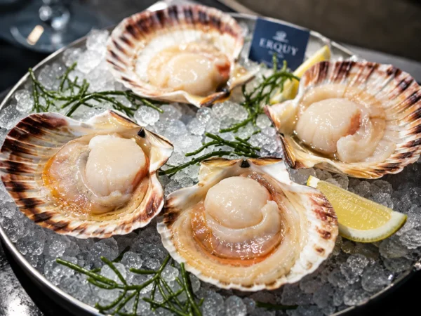 Raw Scallops from Erquy