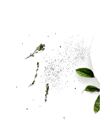 about_image_6